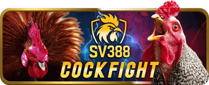 Cá cược thể thao thomo68